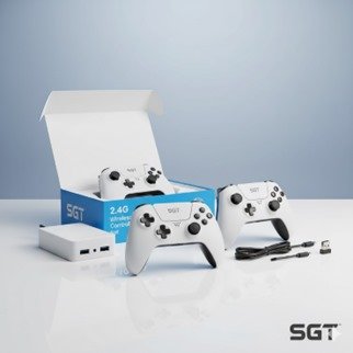 Wireless Gaming Controller Set, Dual White Controllers with Receiver Hub, Compatible with PC Gaming